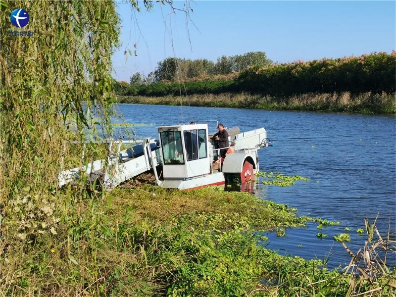 Water Surface Cleaning Vessel Grass Removal Boat